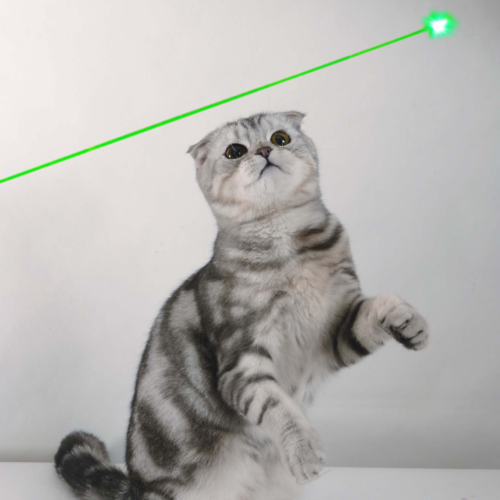 3w green laser pointer
